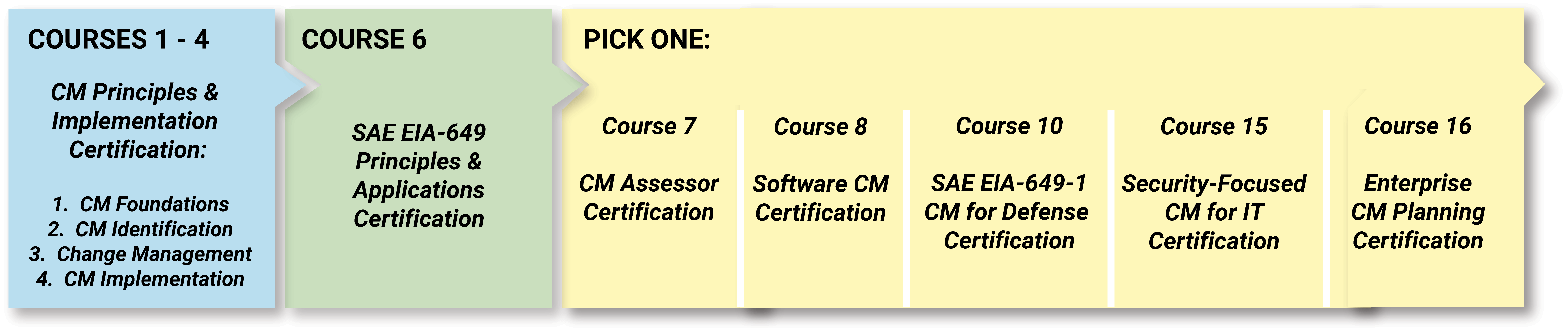 Diagram of requirements for Masters Certification Track I (Track 1).
