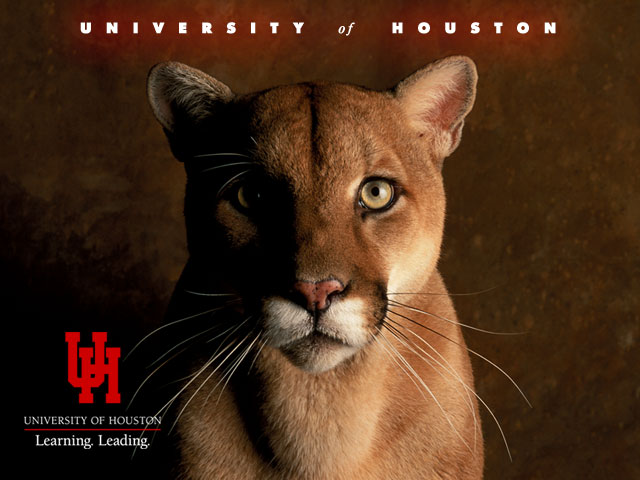 The University of Houston Mascot, Shasta the mountain lion with UH logo.